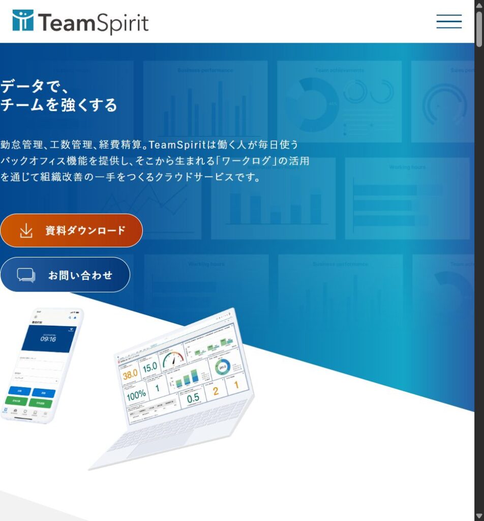 TeamSpirit