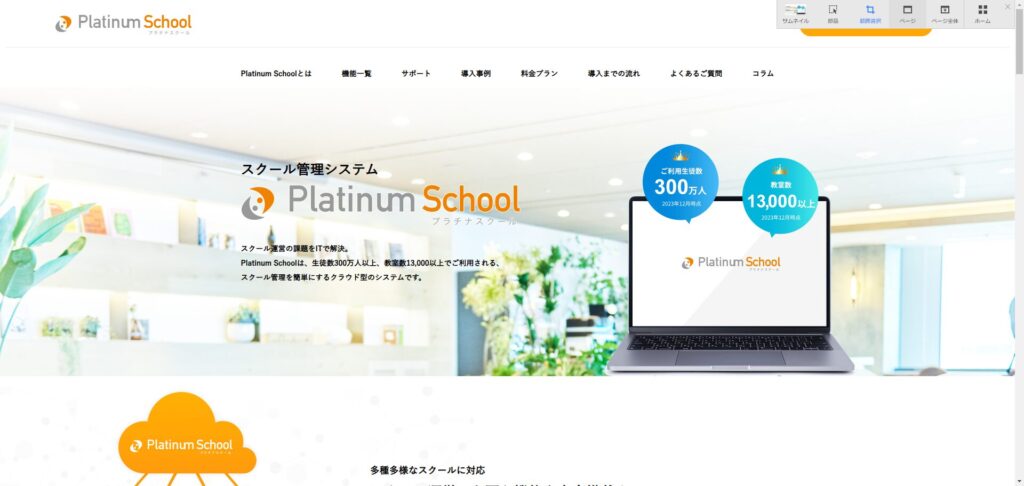 Platinum School